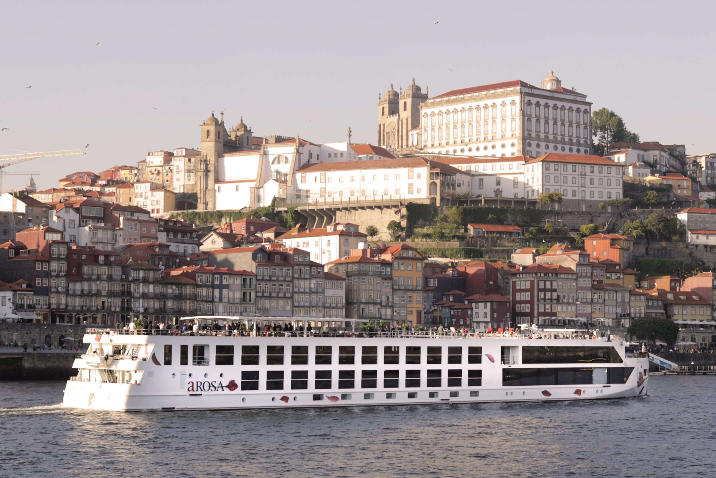 A Rosa Douro